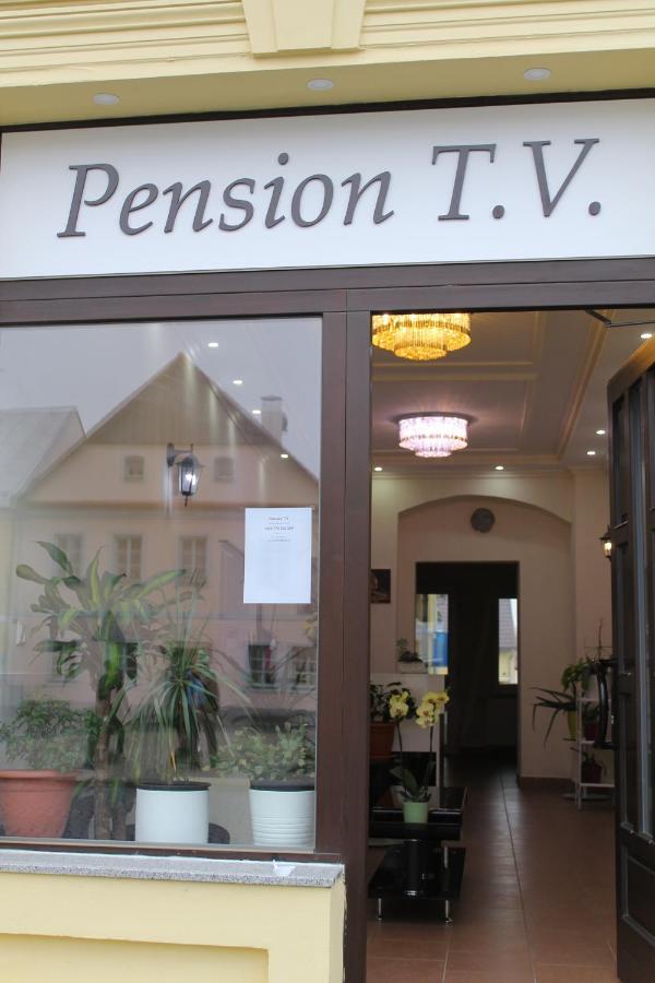 Pension Tv Planá Extérieur photo